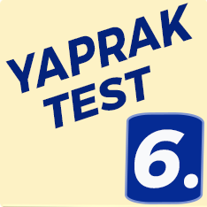6. Sınıf Yaprak Test